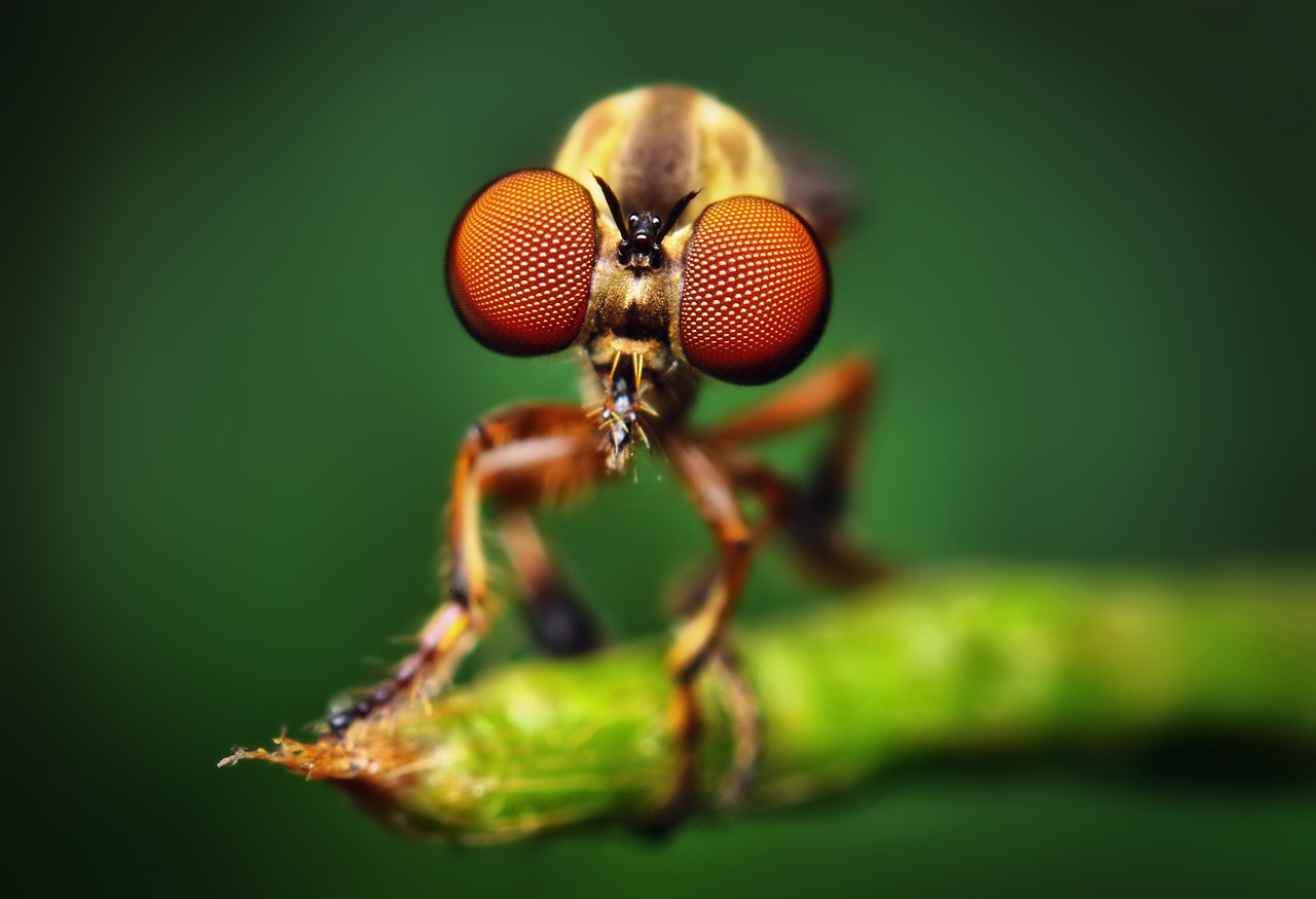 Desktop Nature Wallpaper New Collection Of