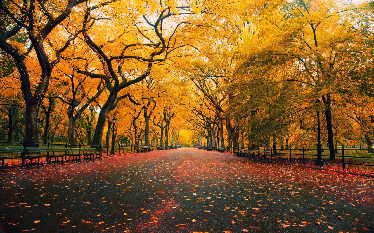 Free download Late Autumn Desktop Themes HD Wallpapers Widescreen