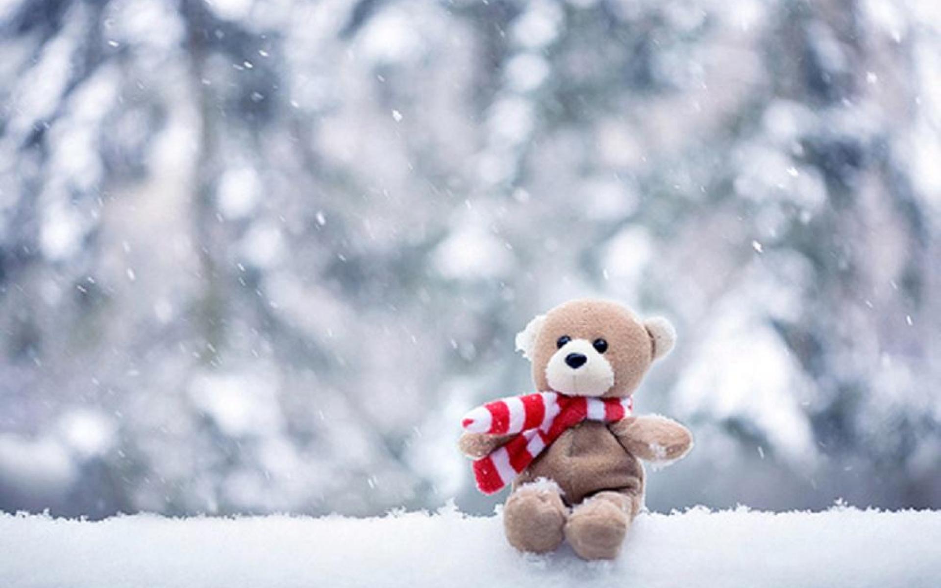 Winter Pic Wallpaper High Definition Quality Widescreen