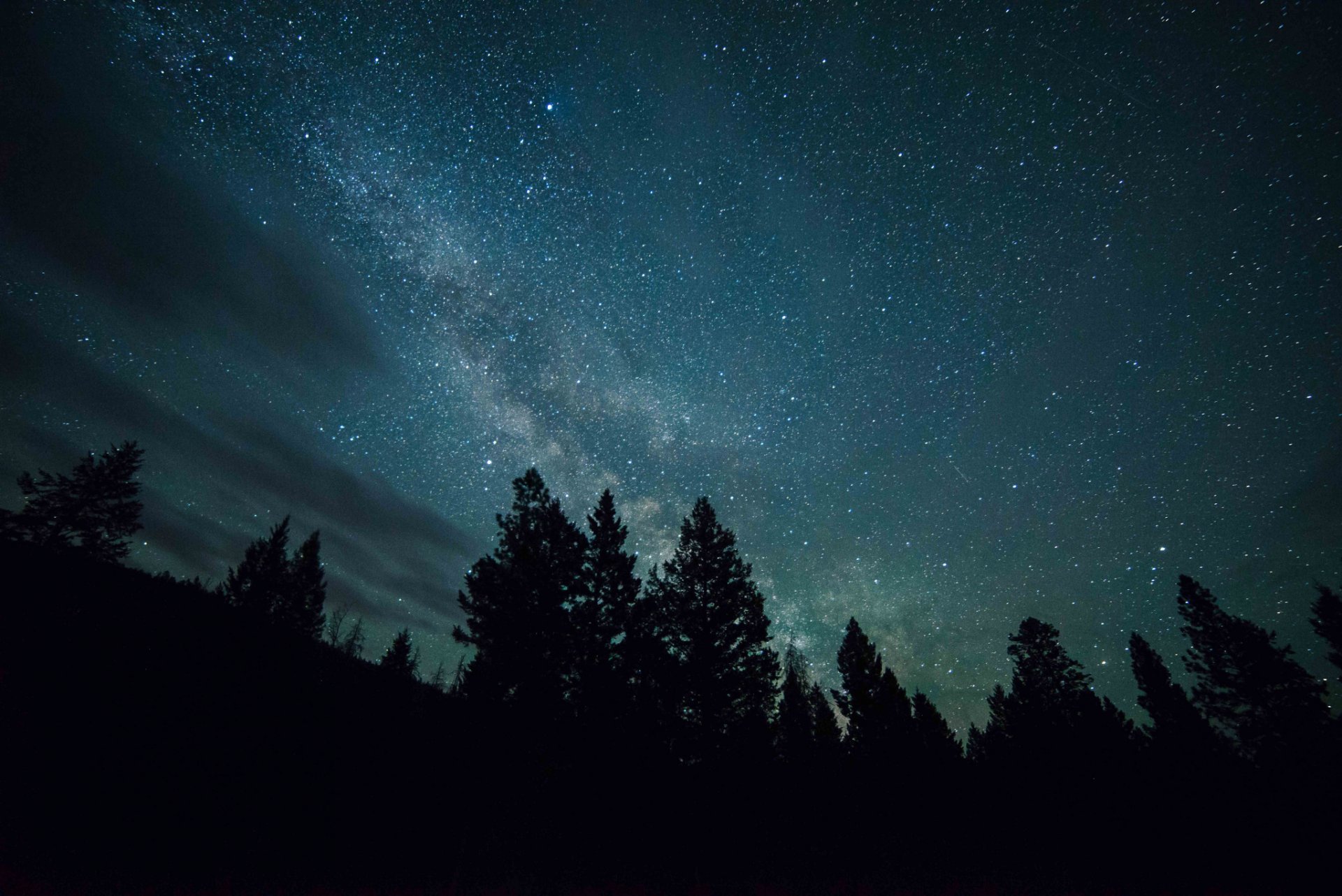 🔥 Free Download Night Forest Sky Star Milky Way Hd Wallpaper [1920X1282