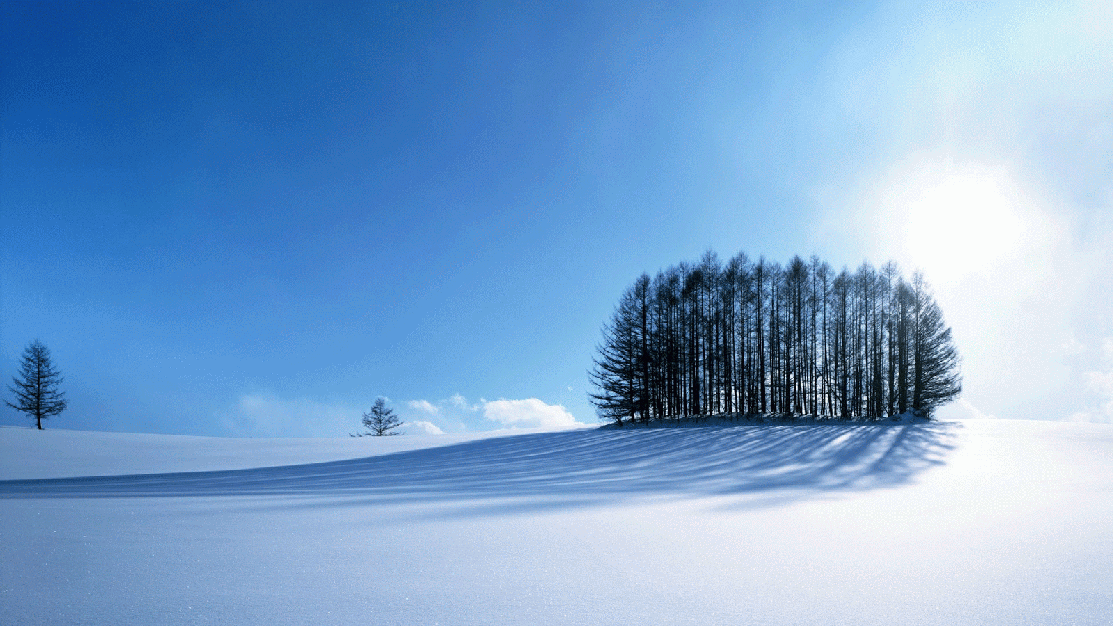 Snow Wallpaper Nice HD Desktop 4k