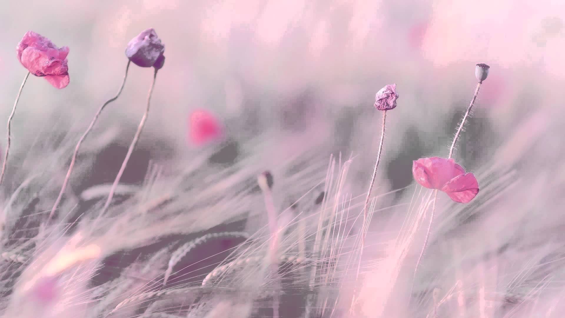 Hours Best Relaxing Music Romantic Piano Quot Background
