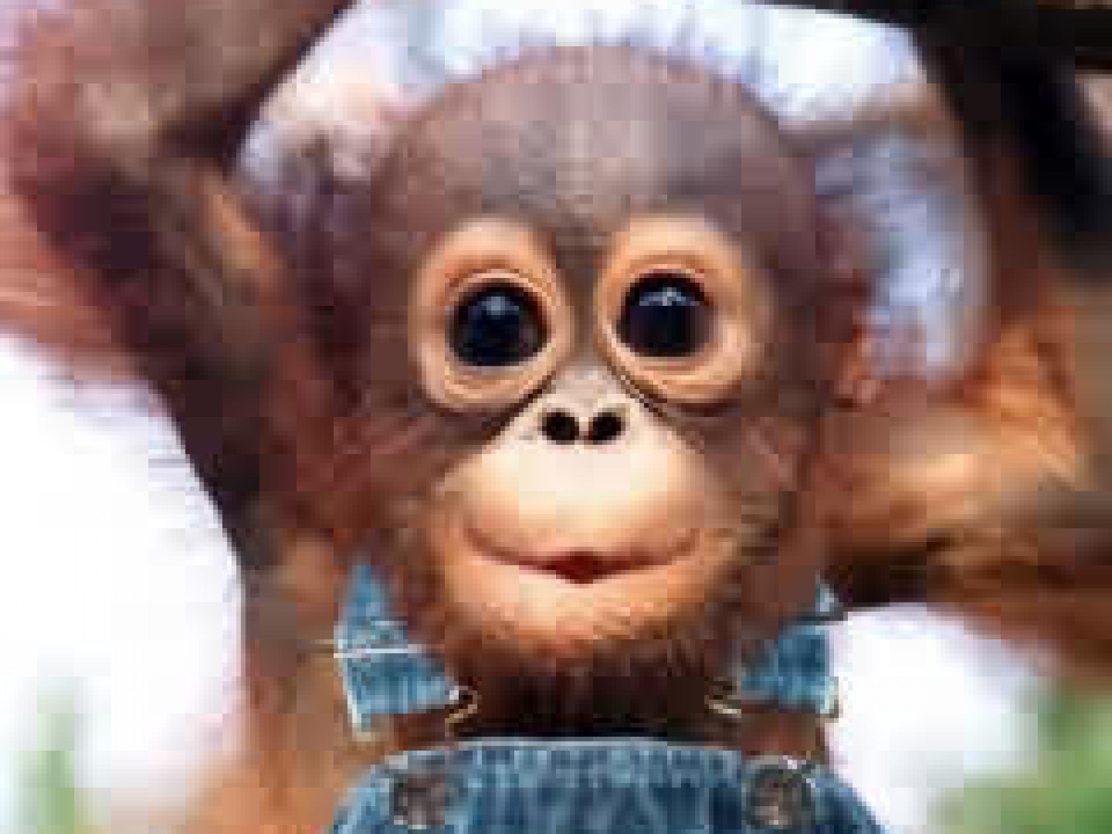 happy baby monkey