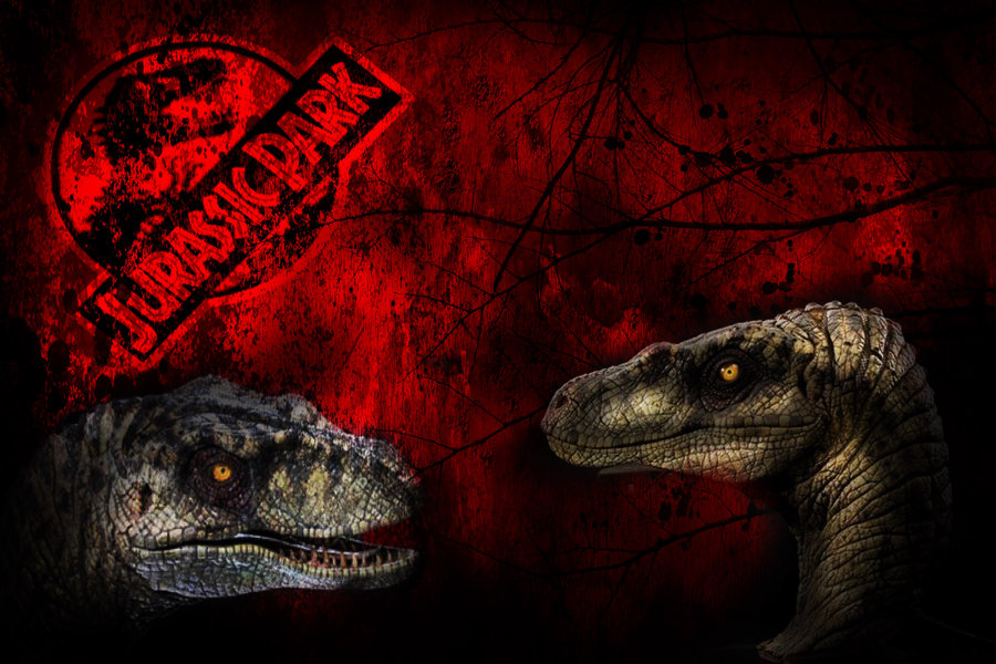 Jurassic Park Wallpaper Velociraptor Raptor By