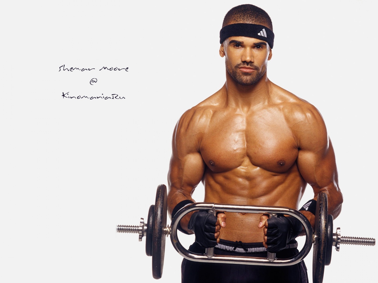 Shemar Moore Muscle Body Building HD Wallpaper Cloudpix