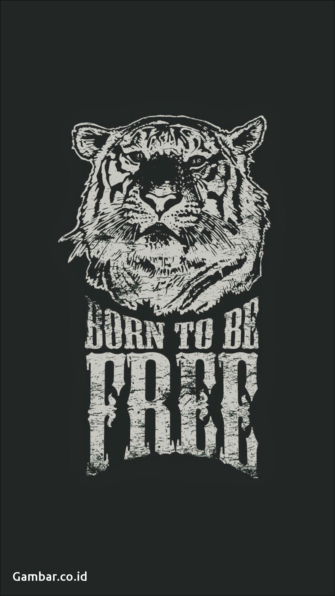 Download Gambar Wallpaper Supreme   Born to Be Free Tiger