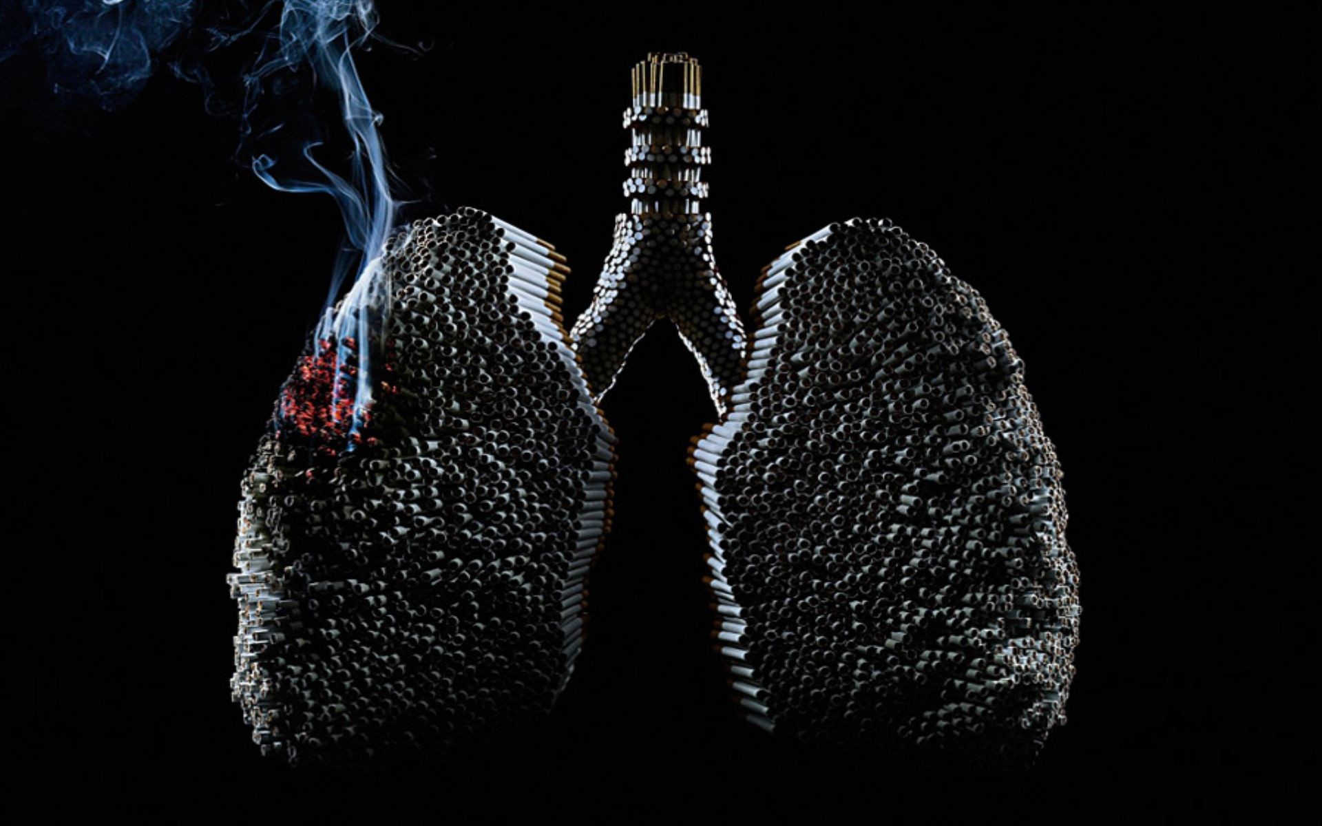 Lung Cancer Pictures For Desktop And Wallpaper Picture