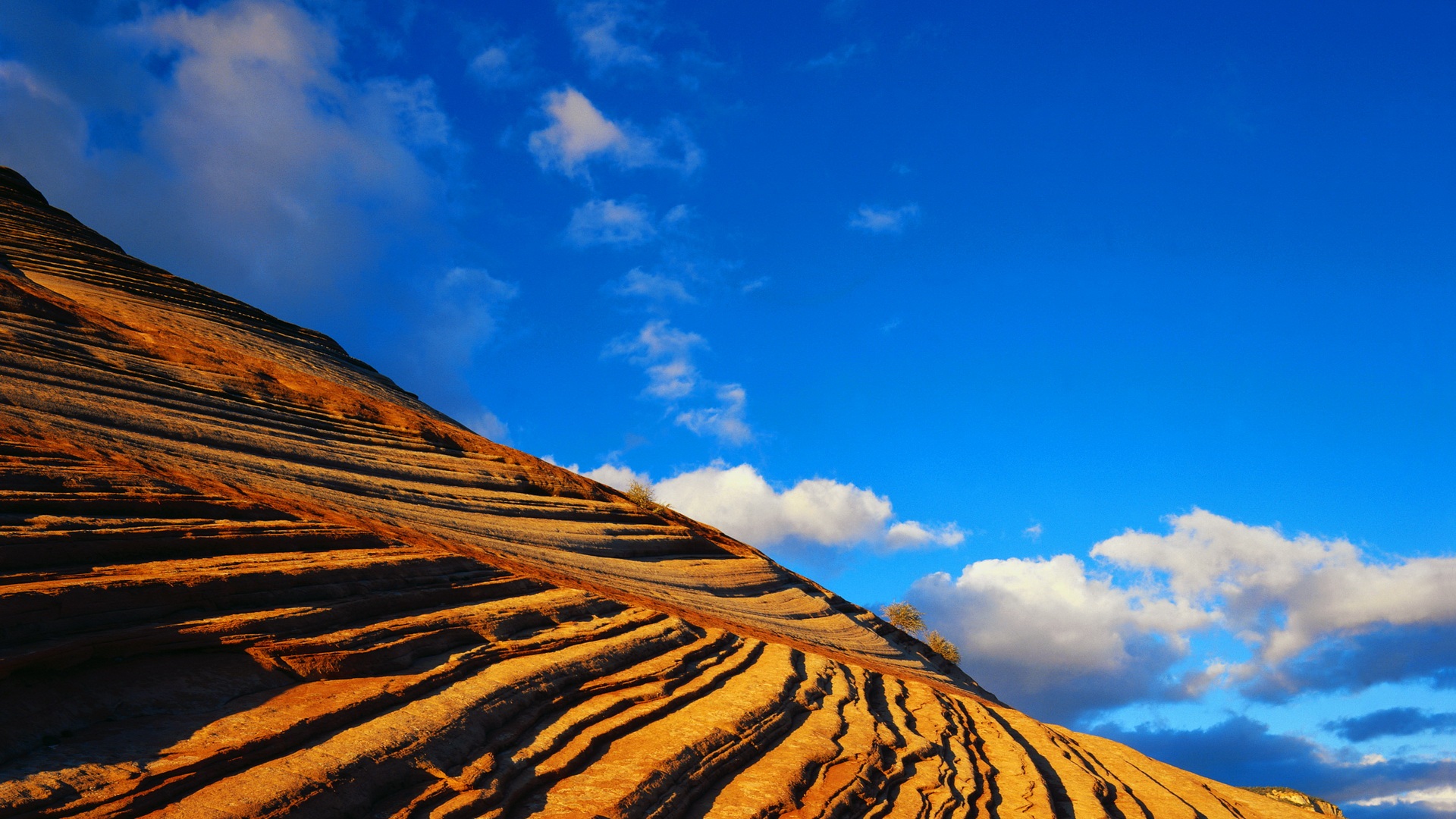 Full HD Wallpaper