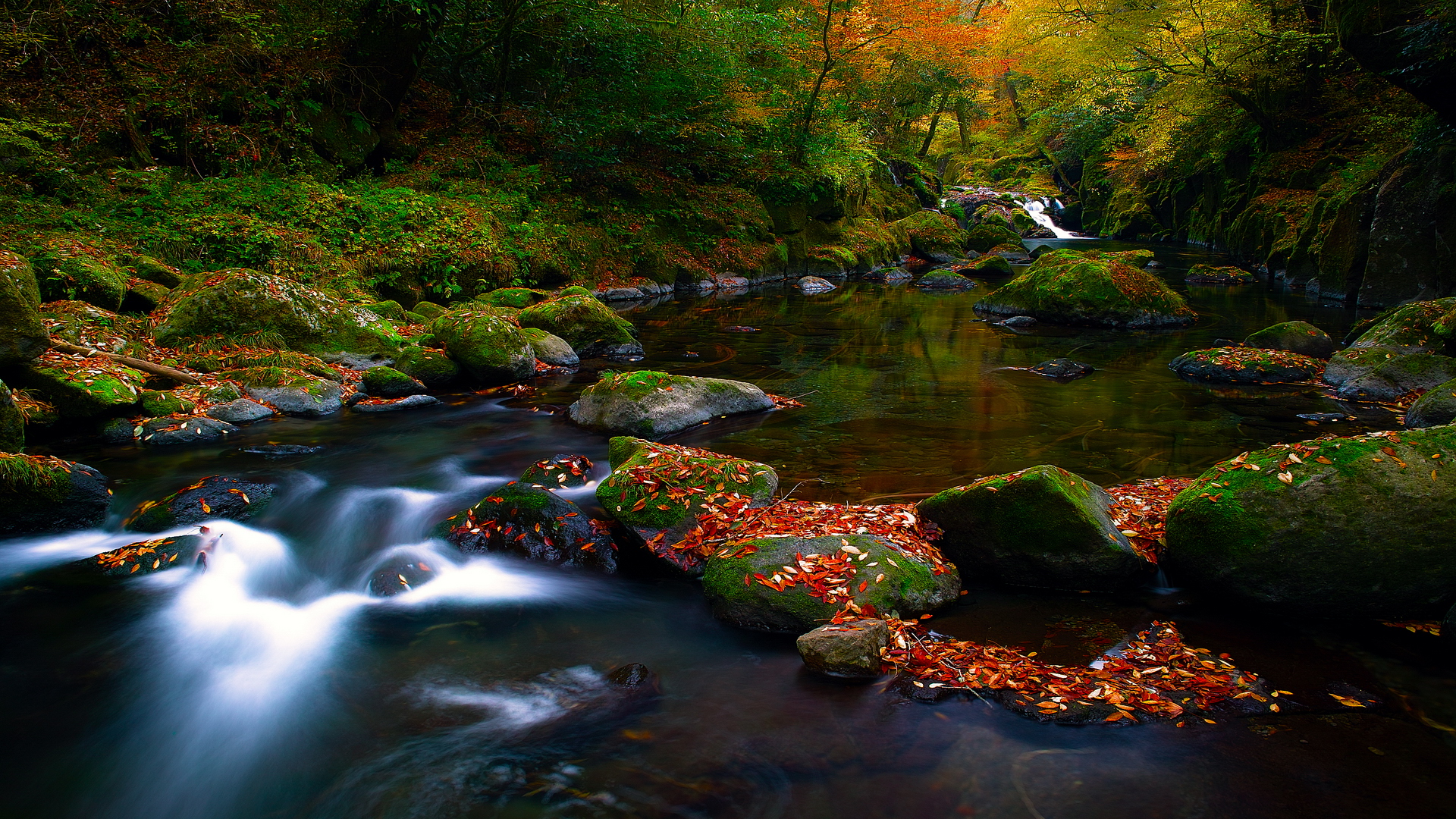Puter Screensavers And Wallpaper Beautiful Autumn River