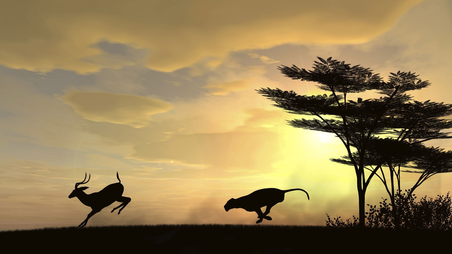 African Animals Wallpaper HD