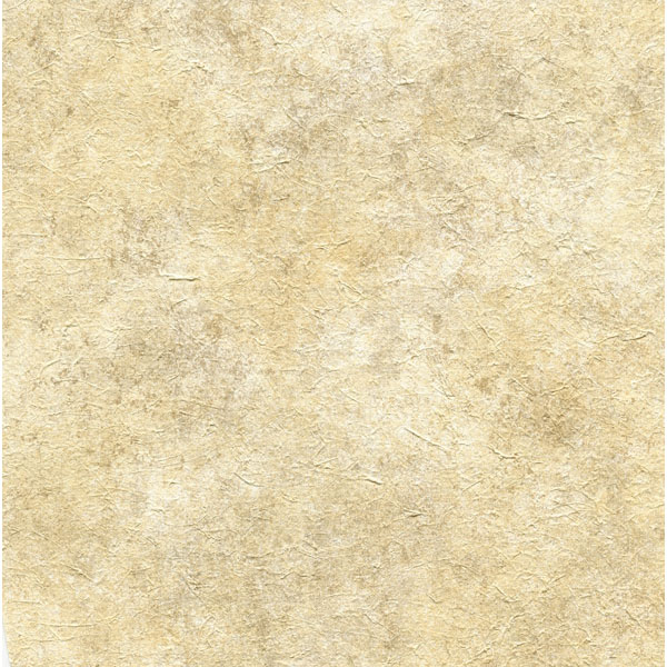 Paper Reptille Warner Textures Vol Iv Wallpaper By