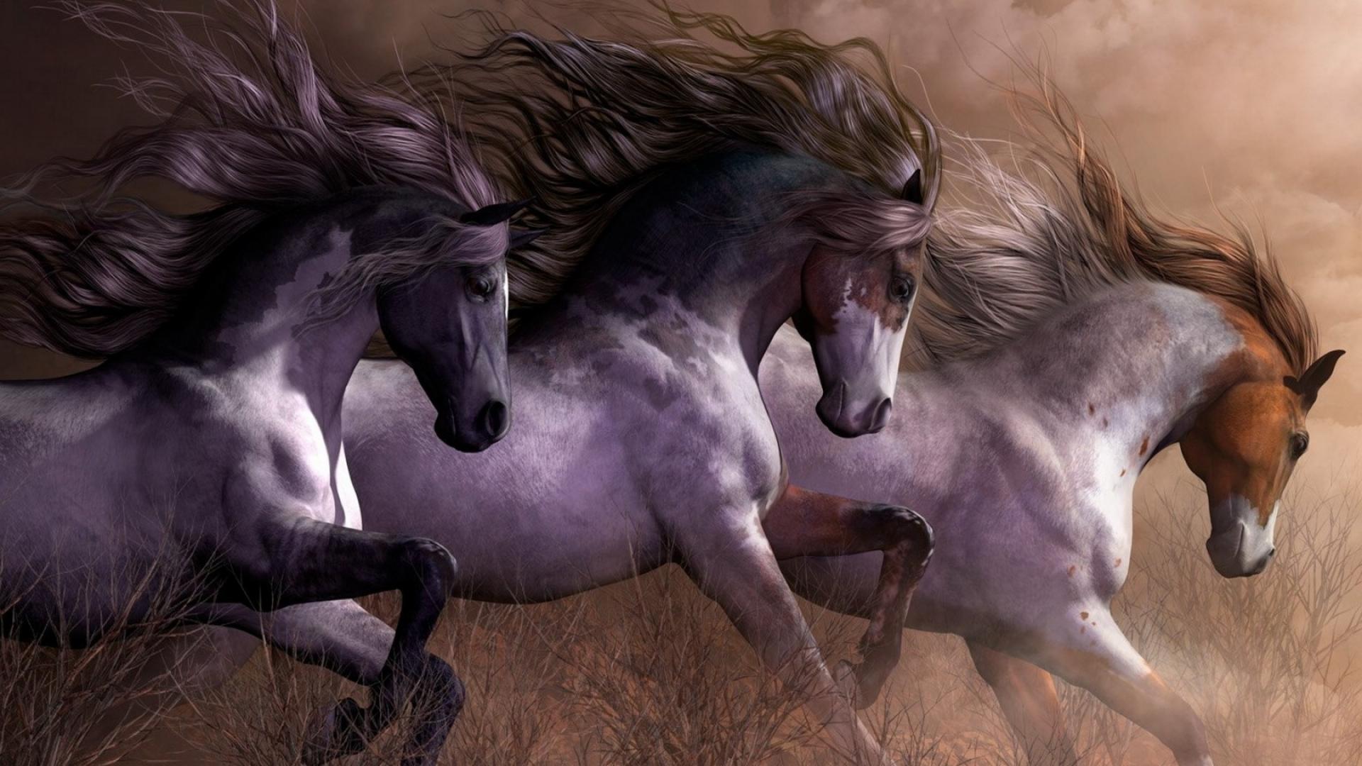 Horse Painting Wallpaper Pictures Image