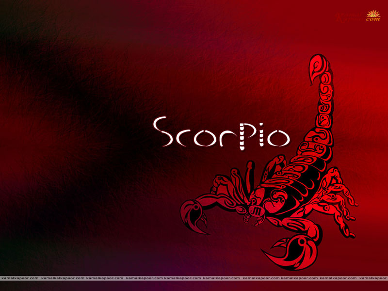 Wallpaper Scorpio Zodiac Hd