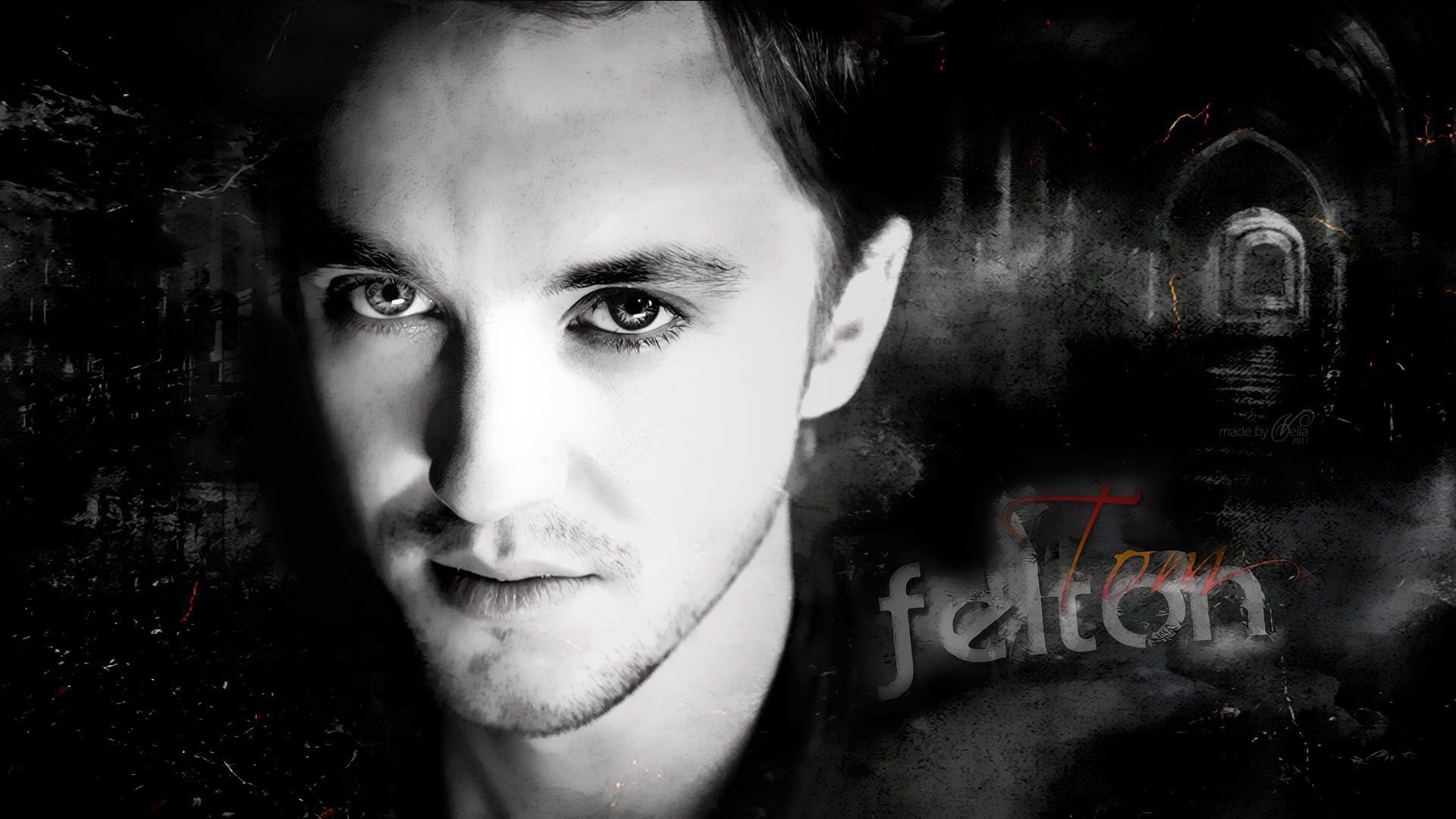 Tom Felton Wallpaper