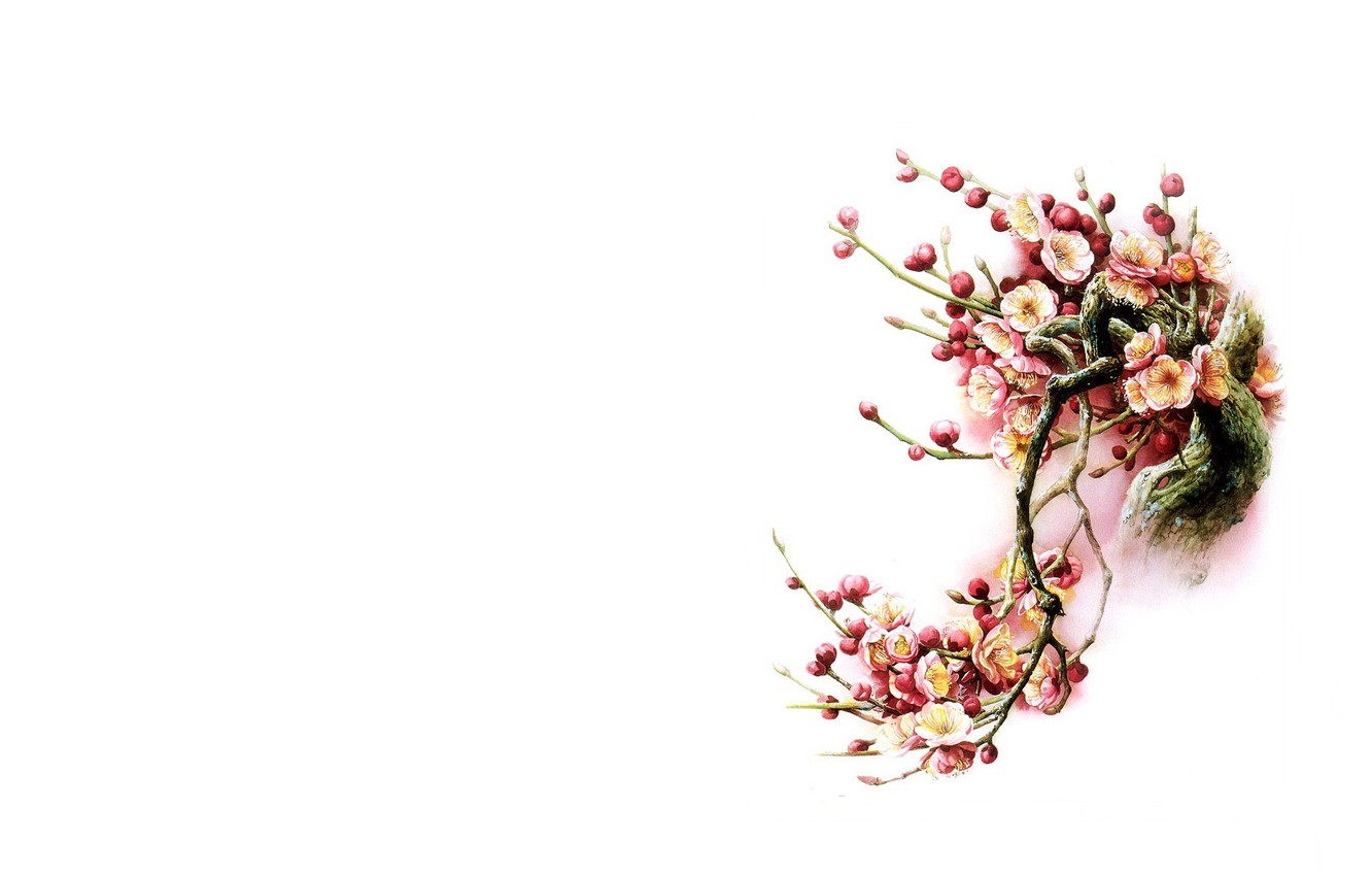 Wallpaper Flowers Bird Minimalism Spring East Sakura Art