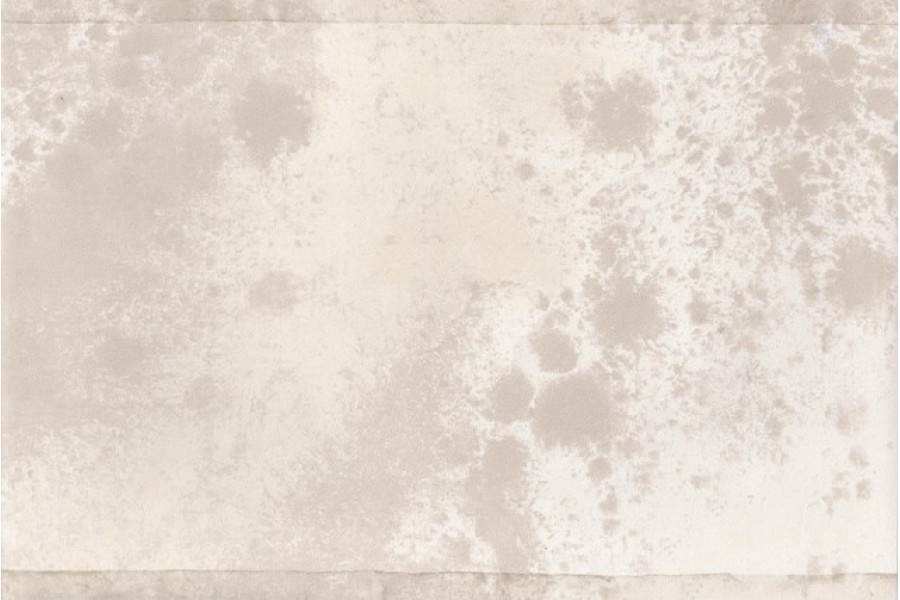 White Cream Birds Wallpaper Border