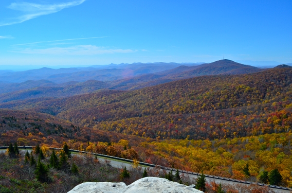 Forests Appalachian Autumn Wallpaper