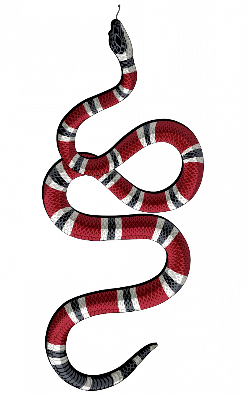 Gucci Snake Wallpaper For Your Desktop