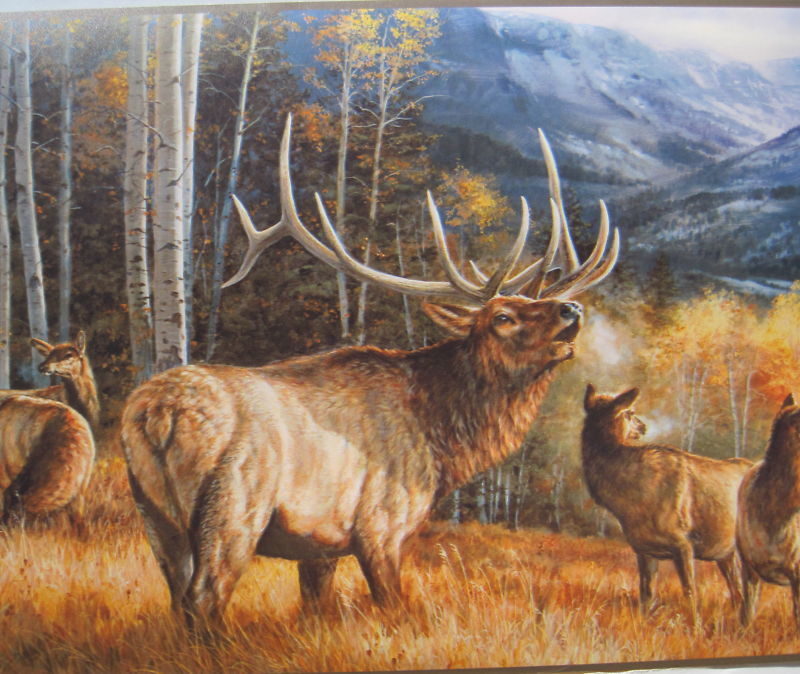 Elk In The Rockies Hunting Wildlife Wallpaper Border