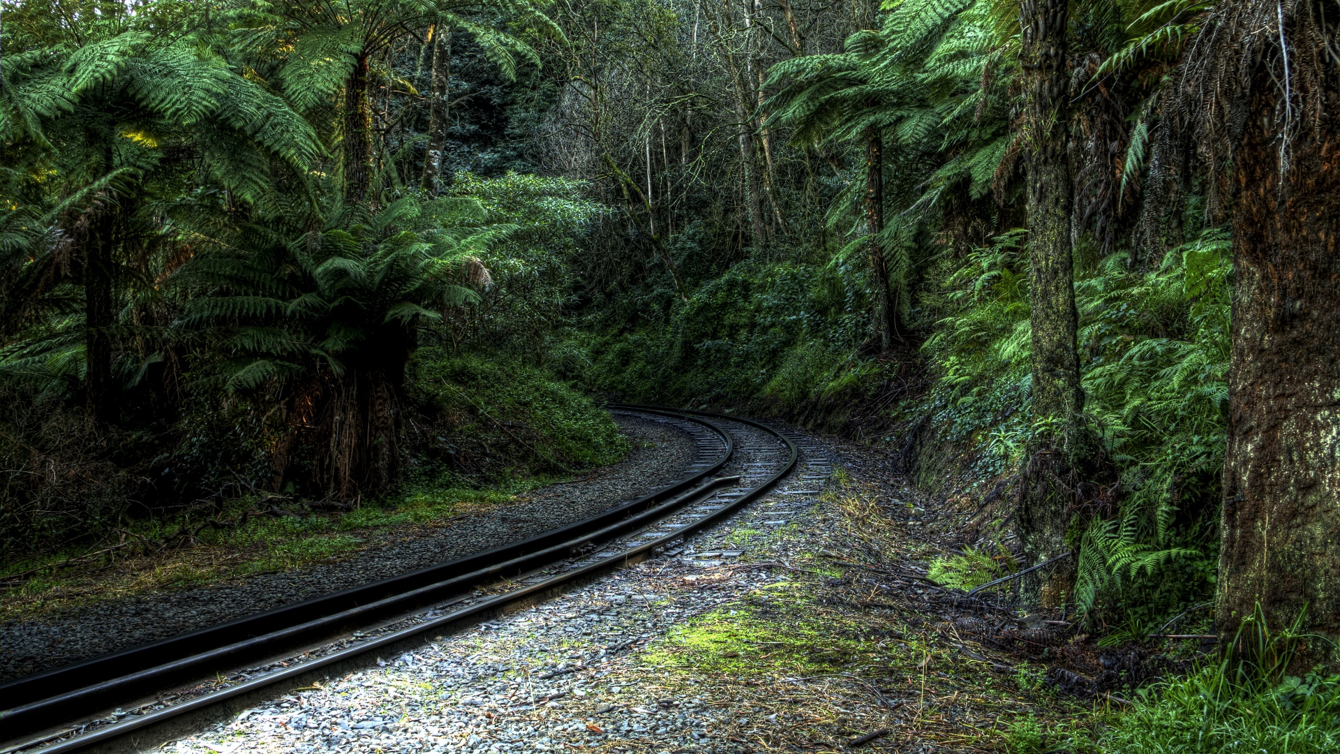 Wallpaper Tropical Forest Railway Landscape Full HD 1080p