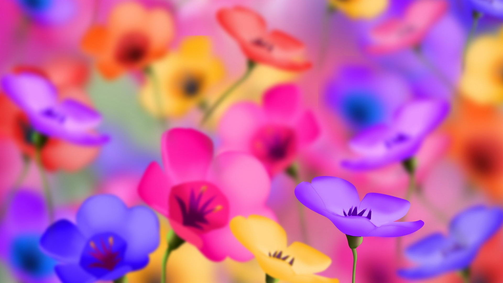 Colorful Flowers Wallpaper HD For Your