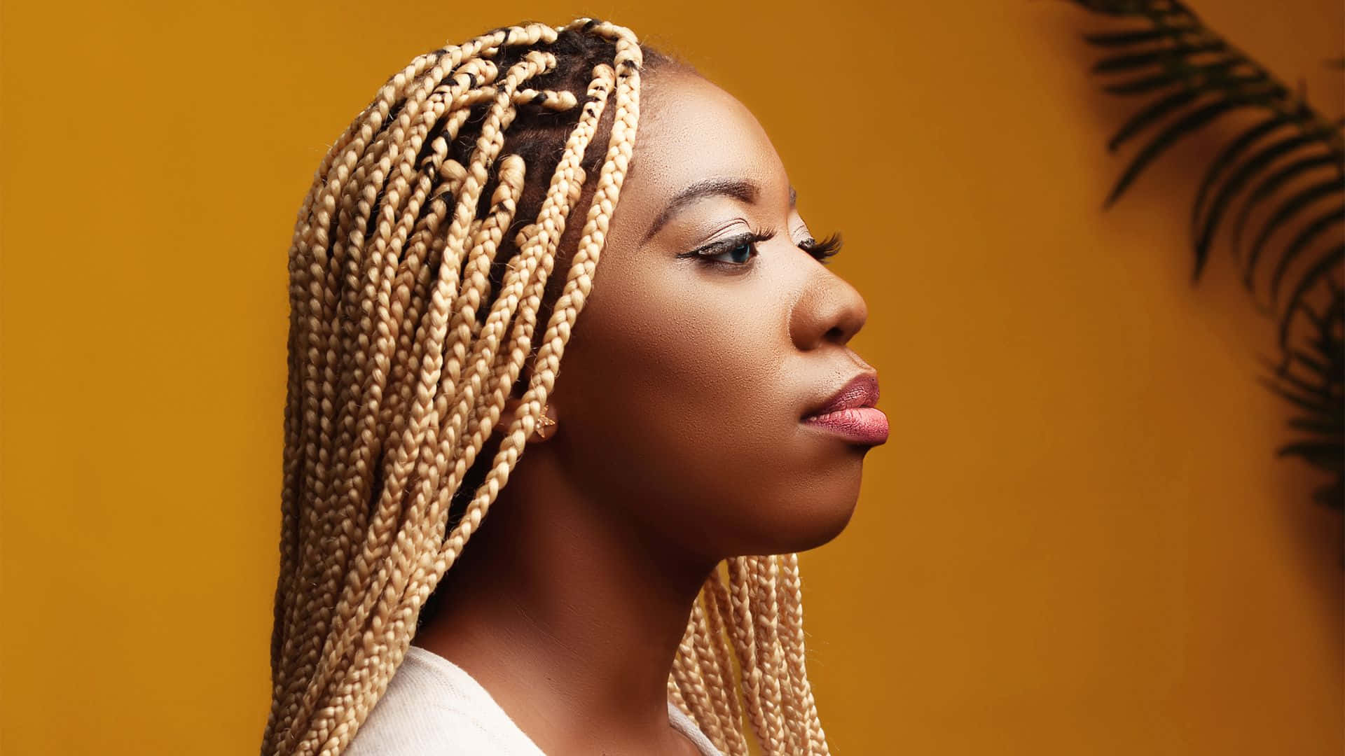 A Woman With Braids In Her Hair Wallpaper