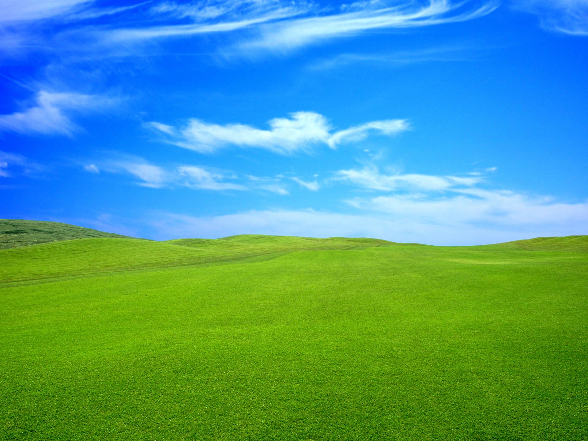 Related Pictures Blue Sky Green Grass Nature Wallpaper Kingdom