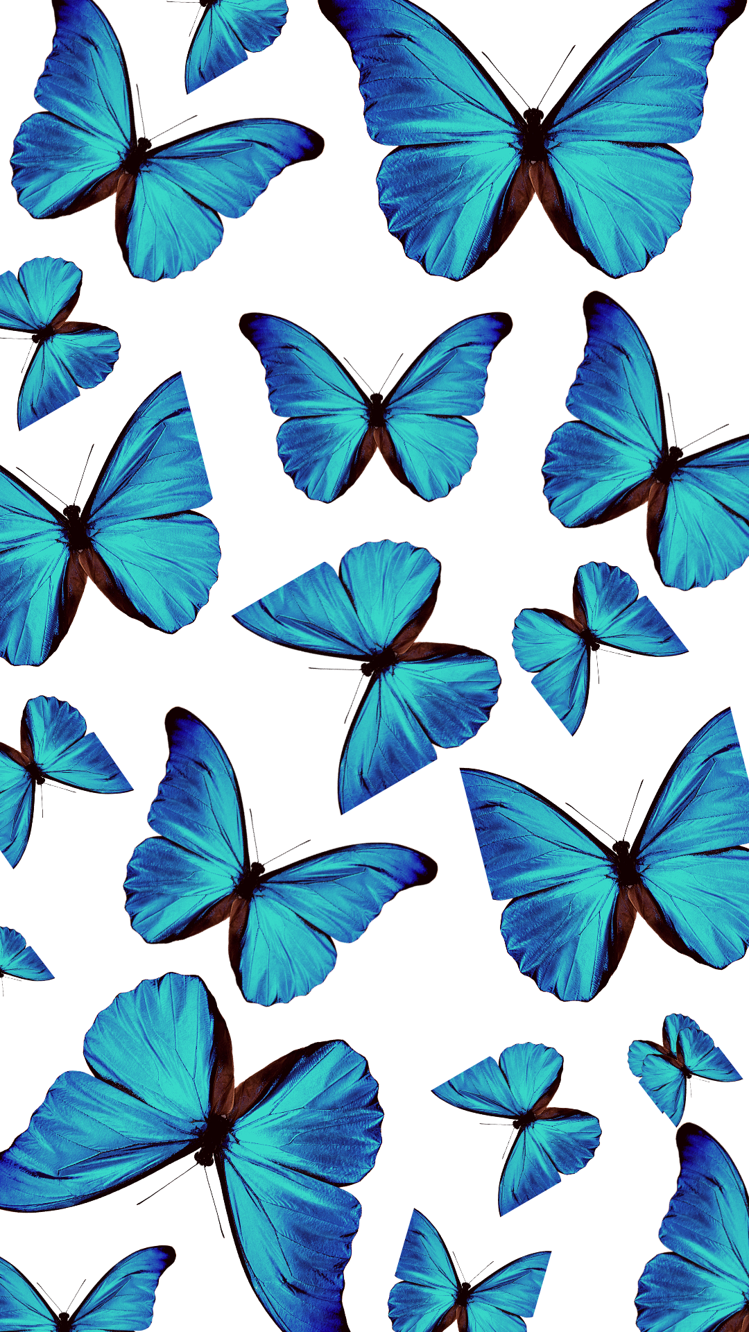 Free download Blue Aesthetic Wallpaper Blue butterfly wallpaper Butterfly  [1080x1920] for your Desktop, Mobile & Tablet | Explore 25+ Cute Cartoon  Butterfly Wallpapers | Cute Cartoon Wallpaper, Cute Butterfly Backgrounds,  Cute Cartoon Wallpapers
