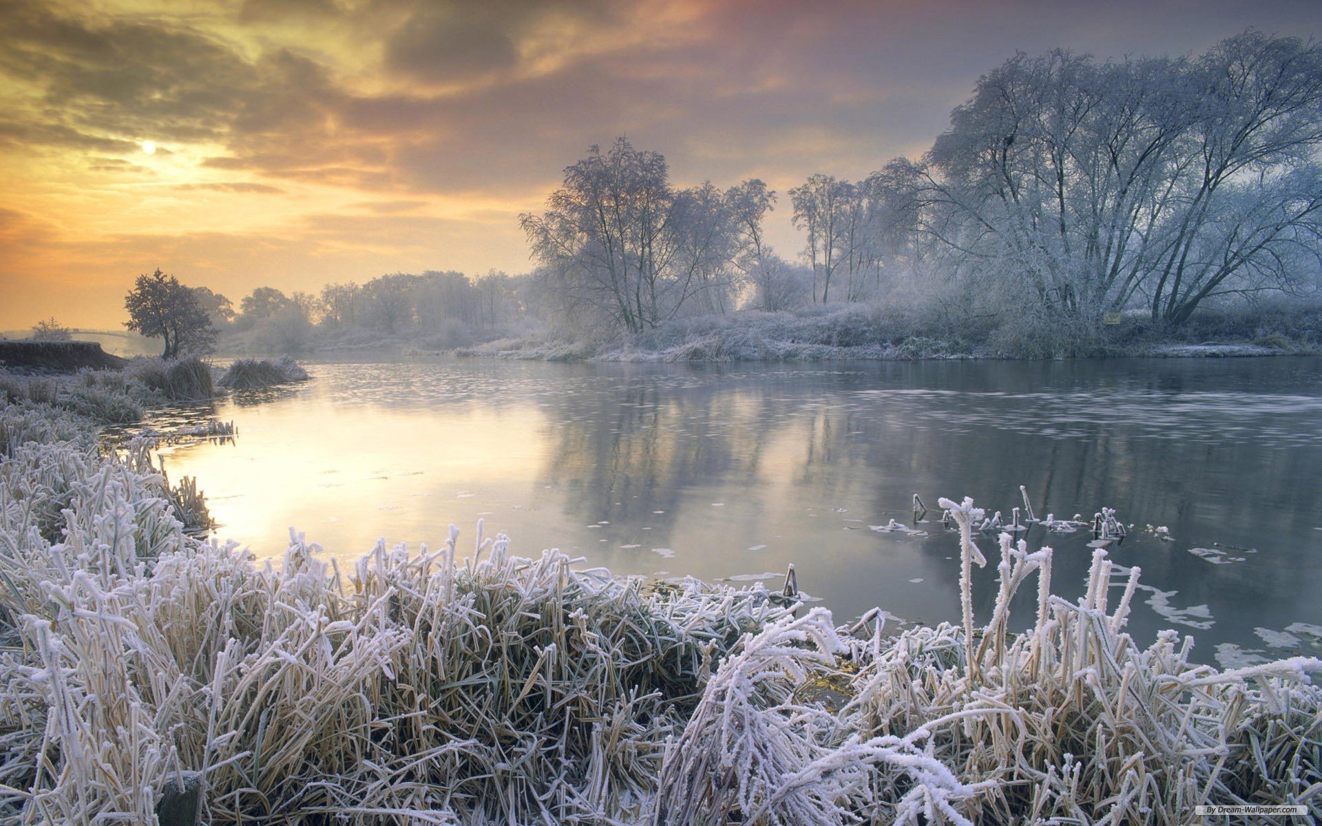 Wallpaper Nature Winter Wonderland