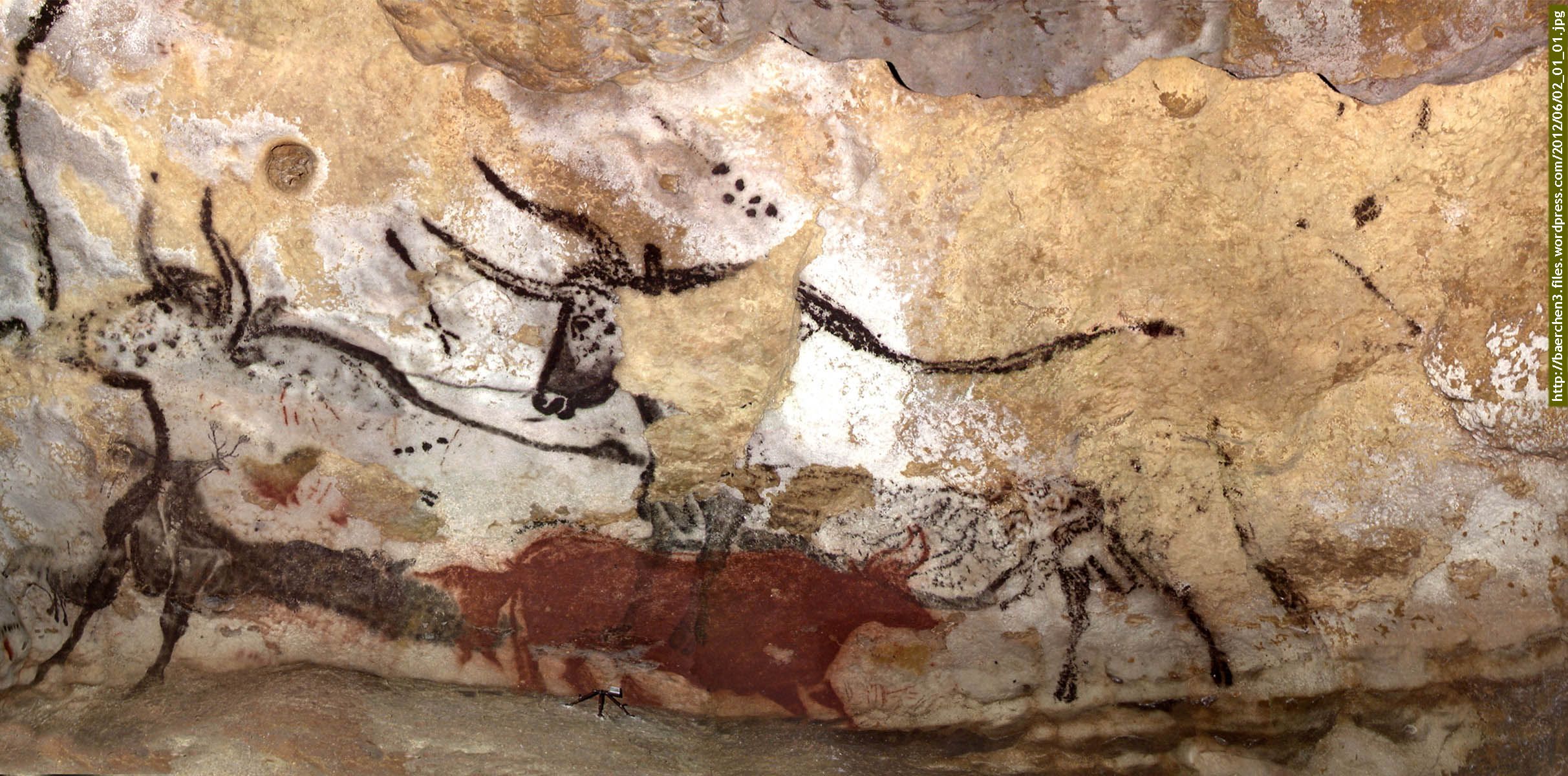 Lascaux Bulls Panorama Tattoos Paleolithic Art Cave