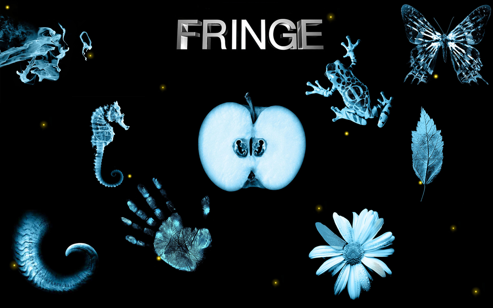 Fringe Septembers Notebook Review   Win A Copy For
