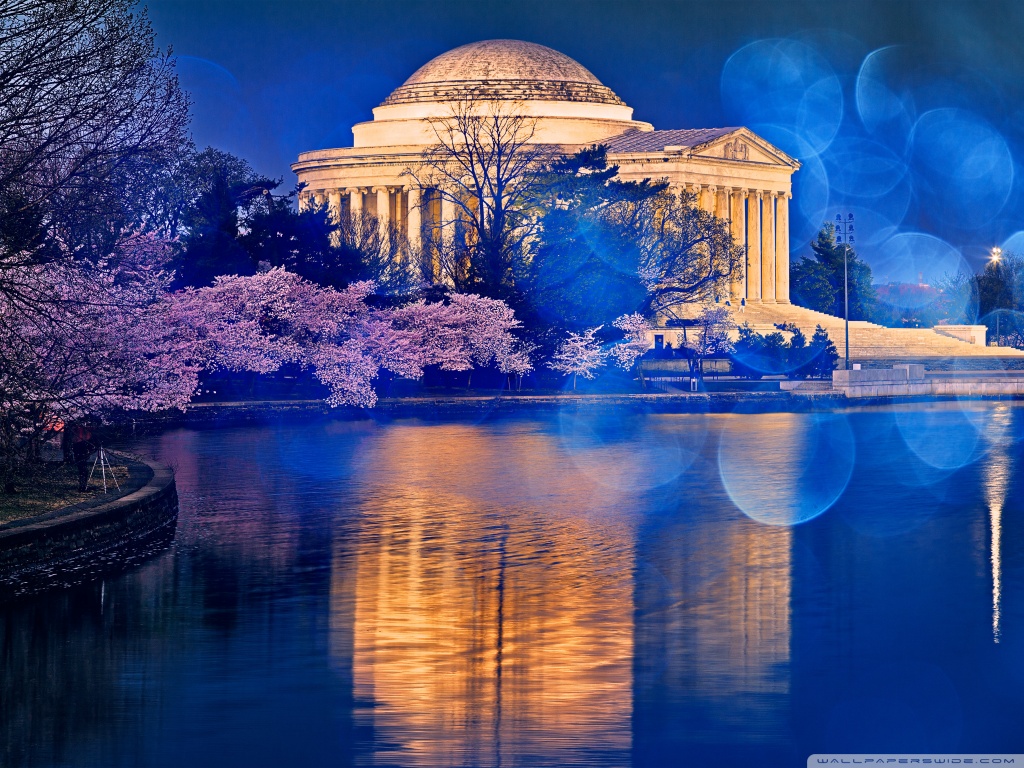 Thomas Jefferson Memorial Cherry Blossom 4k HD Desktop