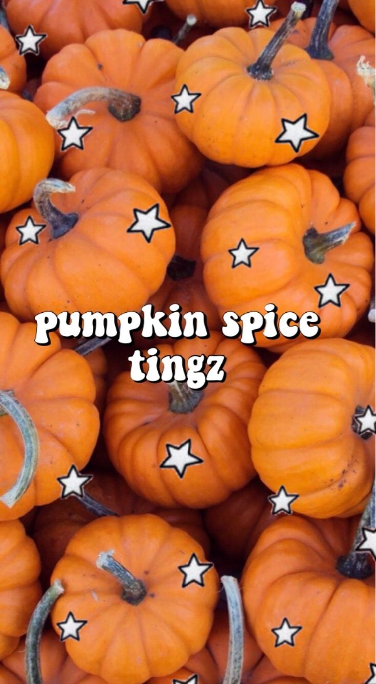 Pumpkin Patch fall aesthetic halloween halloween favorites HD phone  wallpaper  Peakpx