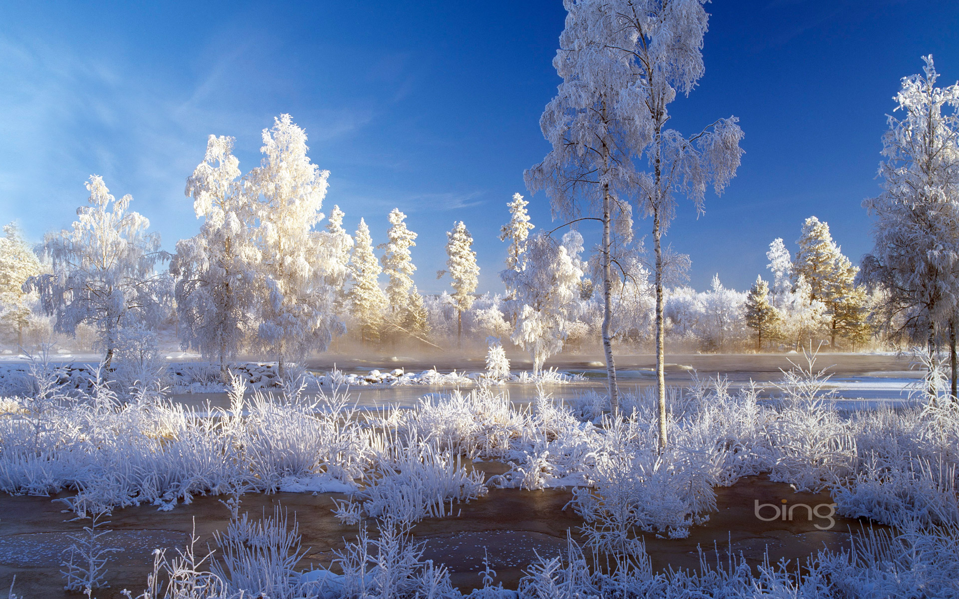 Weekly Bing wallpapers 25 to 31 December 2012   HQ Wallpapers   HQ 1920x1200