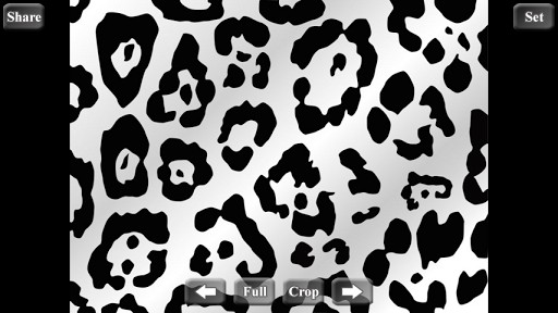 Like Zebra Print Wallpaper HD Is A Cool Perfect App