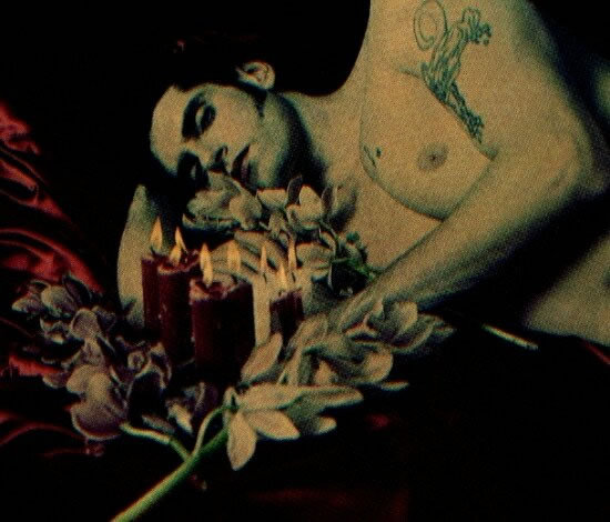TYPE O NEGATIVE frontman Peter Steele is rumored to have died of heart