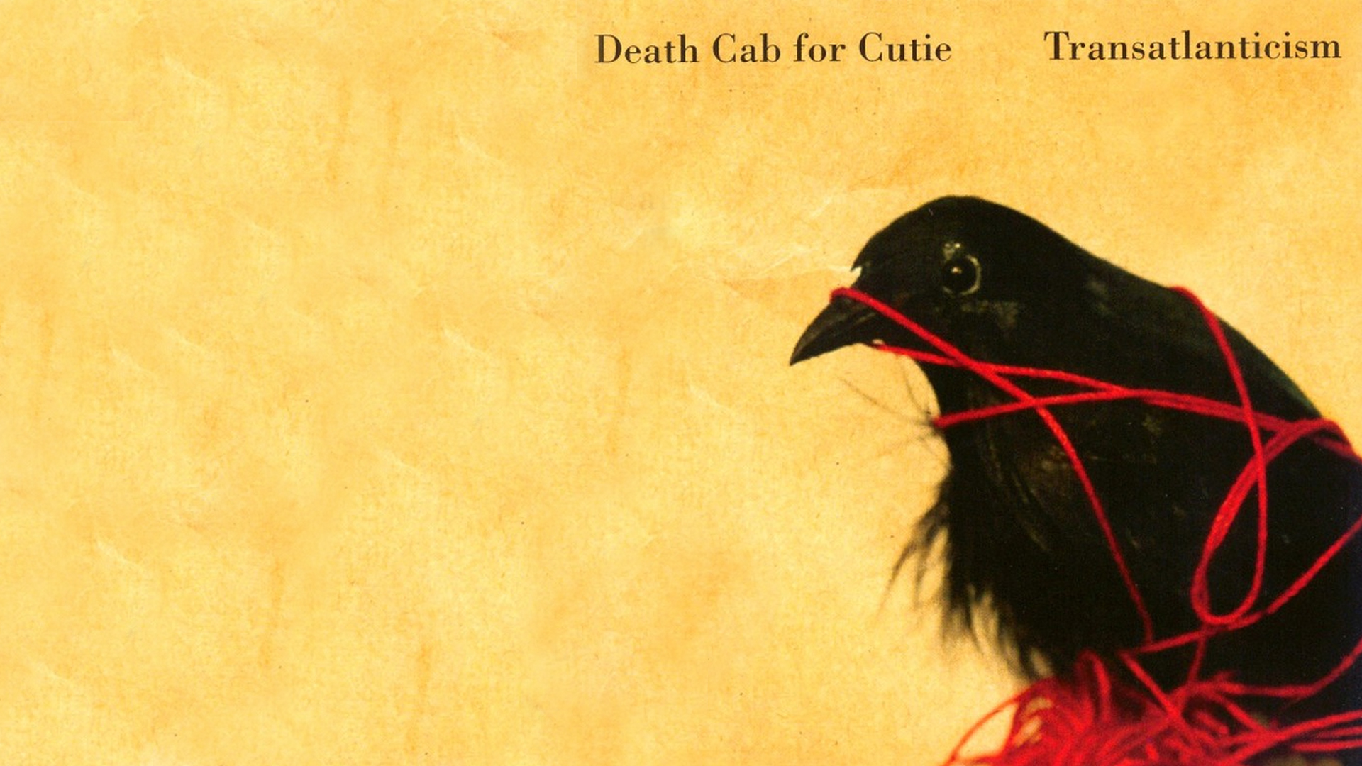 Death Cab For Cutie Transatlanticism Wallpaper