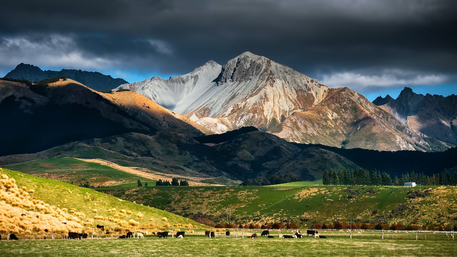 New Zealand landscape mountain sky clouds pasture herd Wallpaperjpg