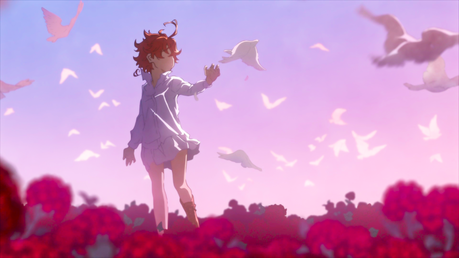 Emma In A Field Of Flowers Wallpaper