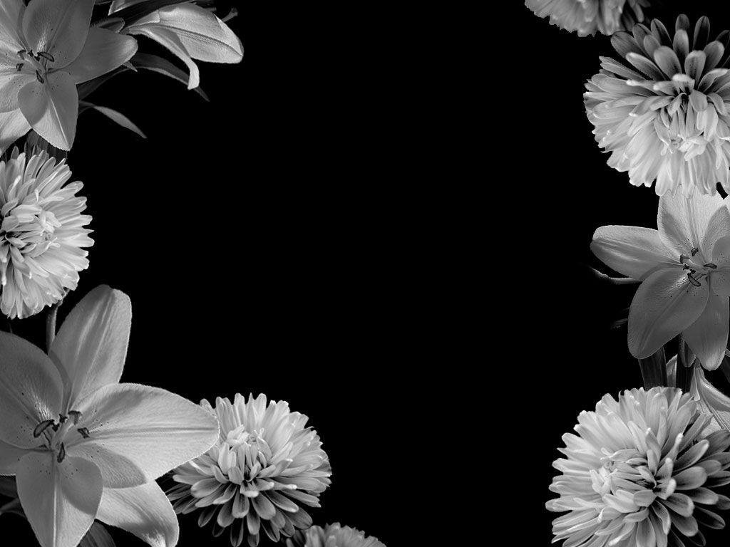 Black Flower Wallpaper Group