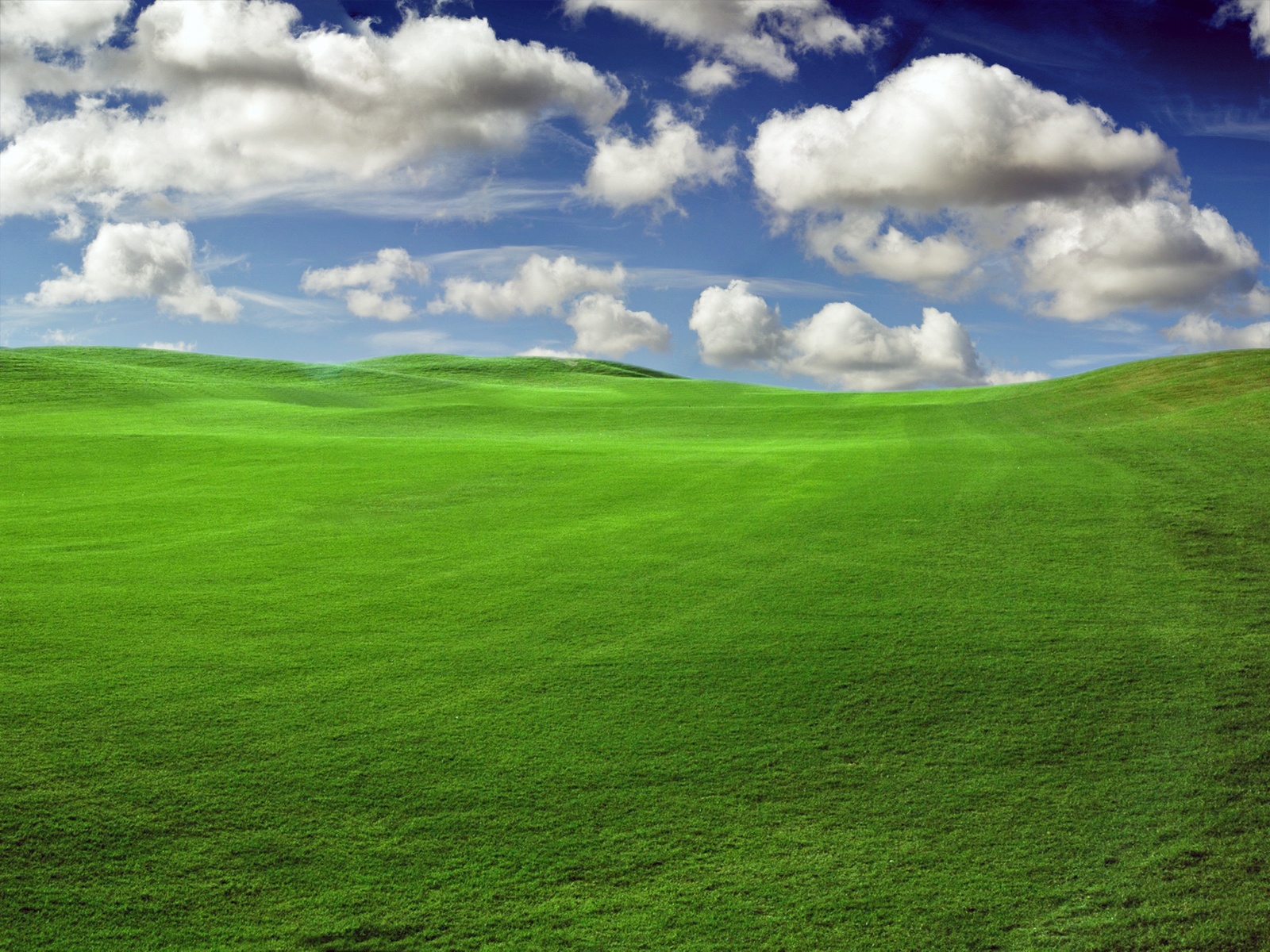 Windows Field Wallpaper For Desktop Background HD