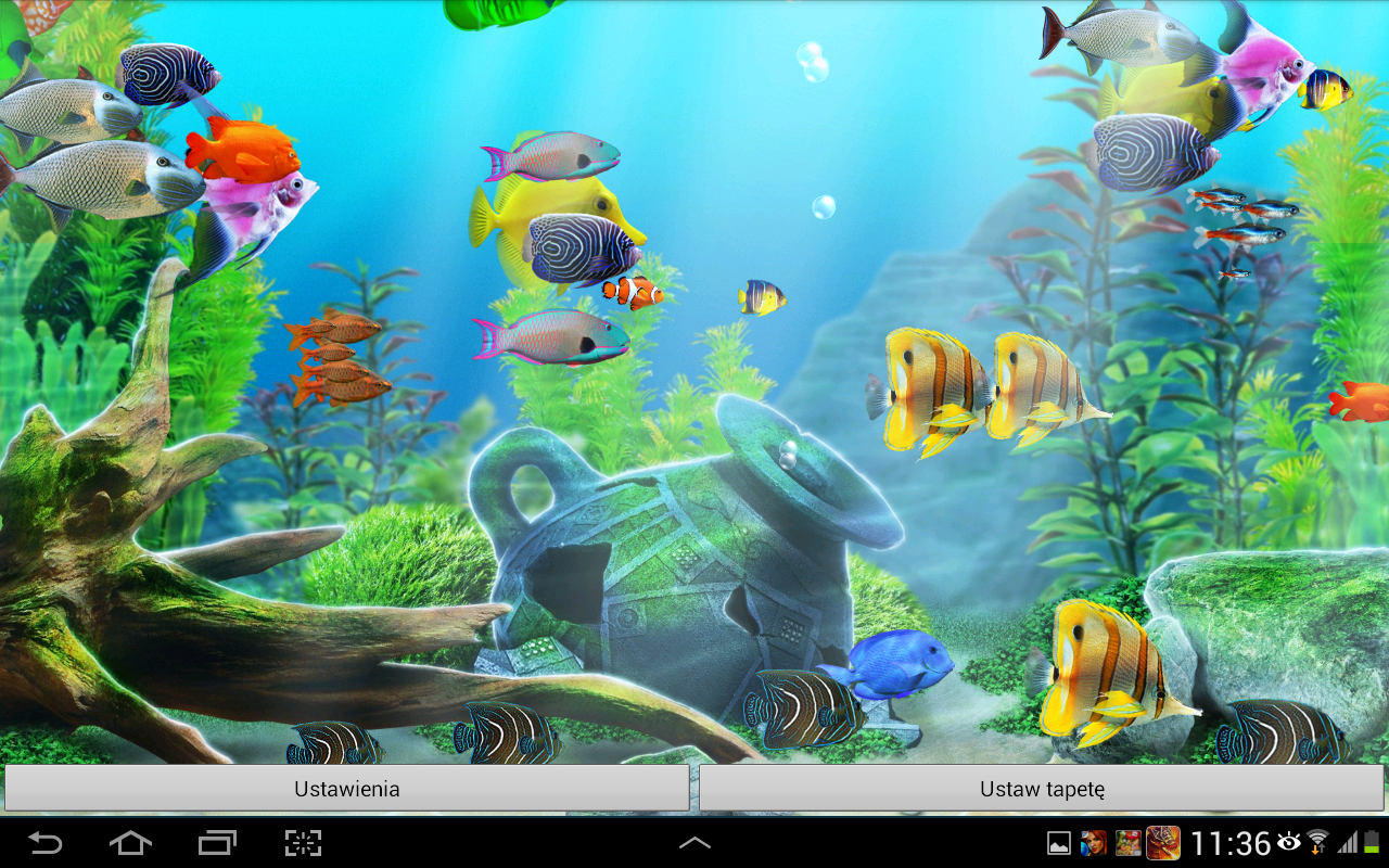 Aquarium Live Wallpaper Is An Amazing Quality Active Now You