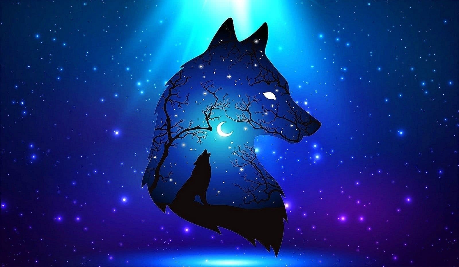 Cool Blue Wolf Wallpapers   Wolf Wallpaperspro 1600x933