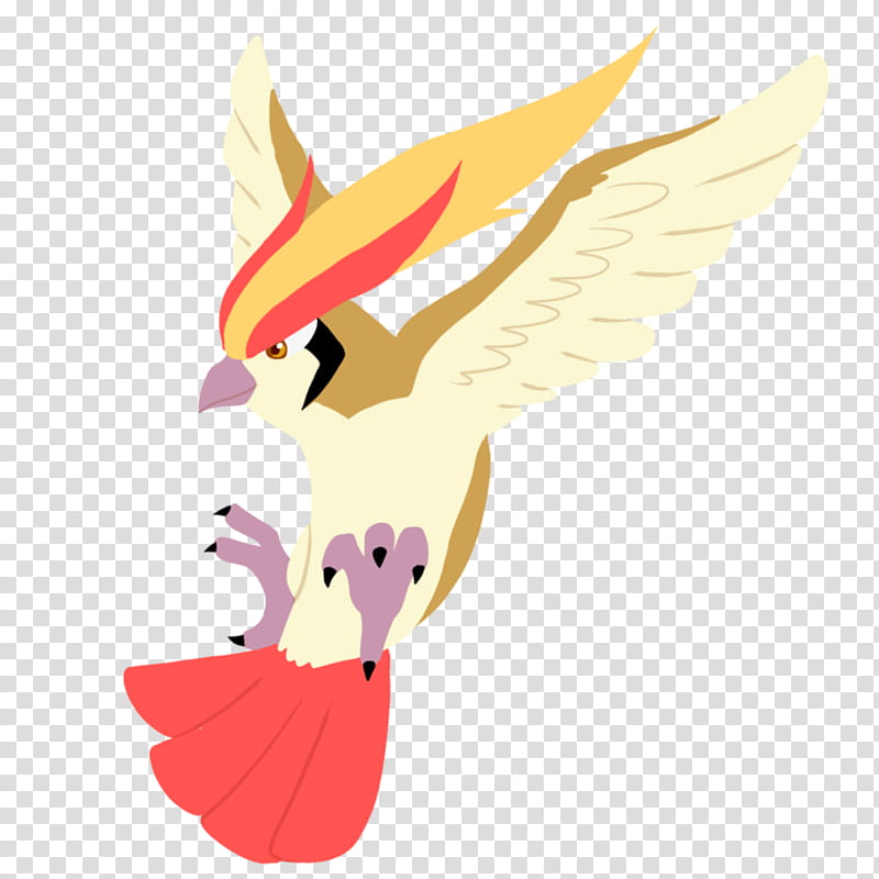 Pidgeot From Normal Team Corban Transparent Background Png
