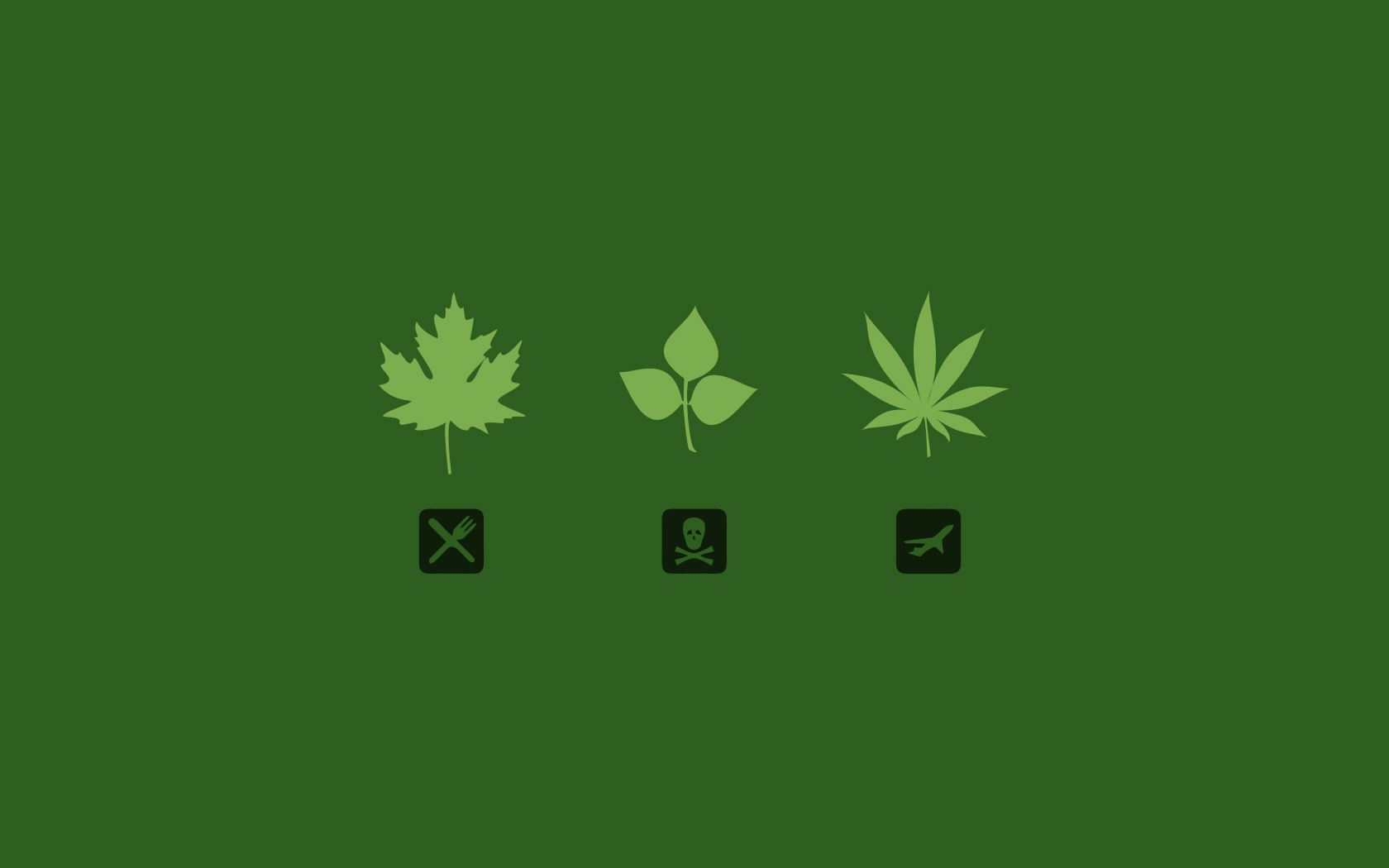 Leaves Marijuana Wallpaper