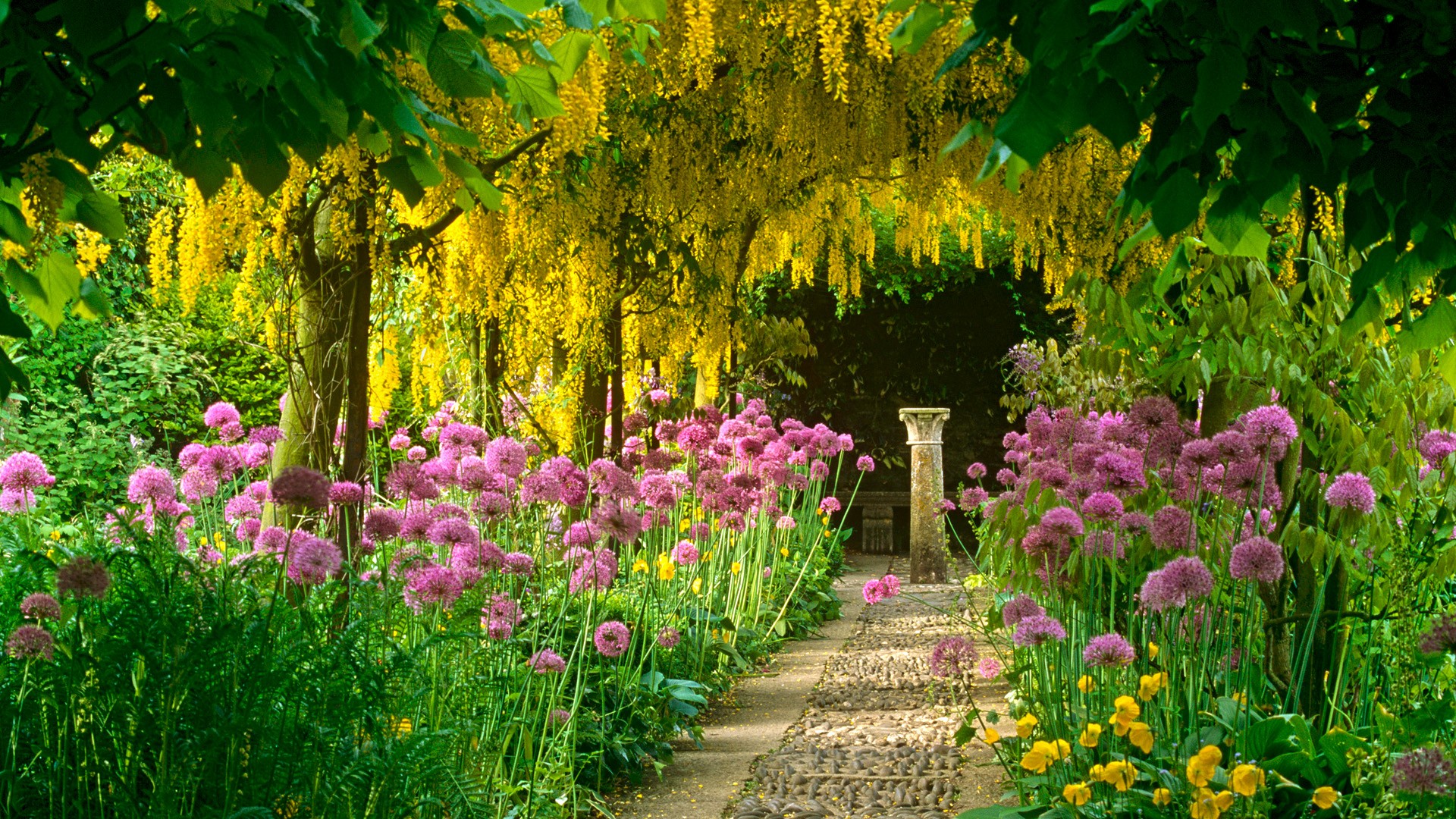 Garden Wallpaper HD