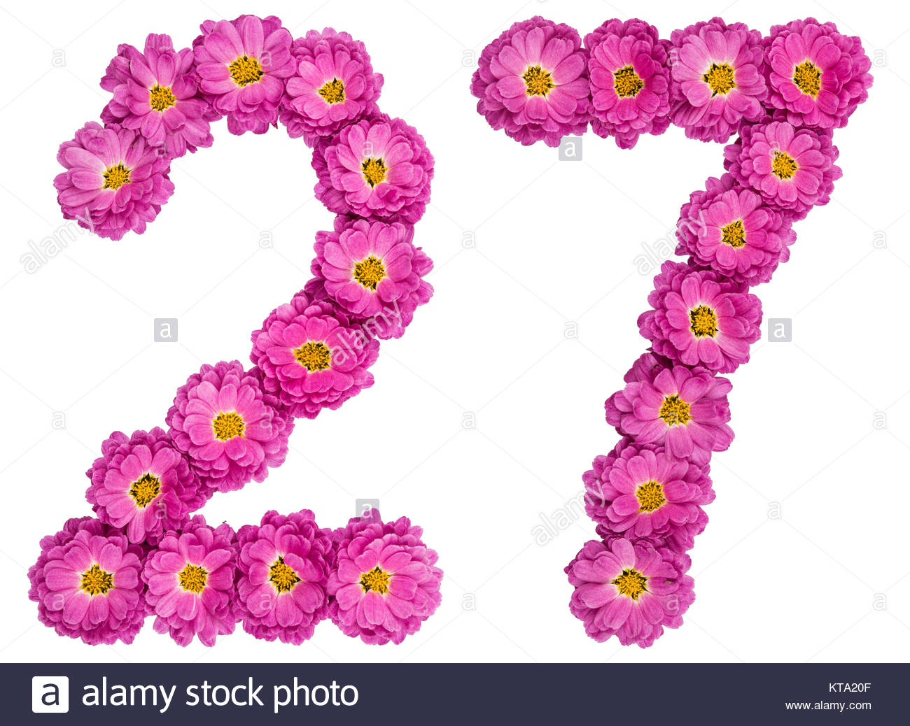 Arabic Numeral Twenty Seven From Flowers Of Chrysanthemum