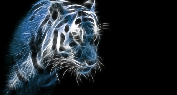 Light Painting Wallpaper Tiger Desktop