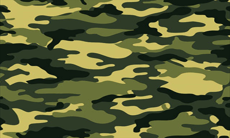 Camouflage Live Wallpaper Amazon De Apps F R Android