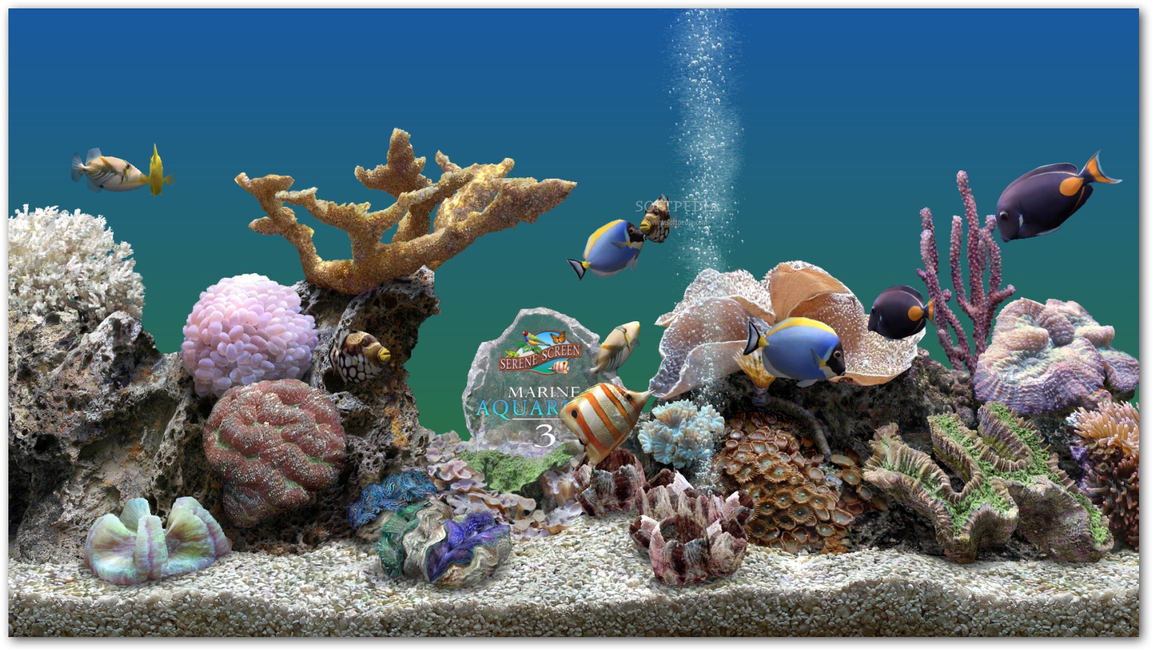 Marine Aquarium   With Marine Aquarium you are able to view